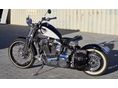 HARLEY-DAVIDSON SOFTAIL 1993/7 - 3