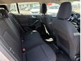 FORD FOCUS 2018/11 - 12
