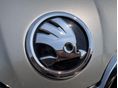 SKODA RAPID 2018/2 - 29