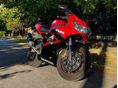 HONDA CBR 900 RR 2000/9 - 3