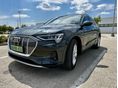 AUDI E-TRON 2020/12 - 2