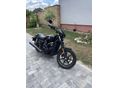 HARLEY-DAVIDSON STREET 750 2015 - 5