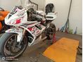 TRIUMPH DAYTONA 675 2009/5 - 2