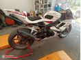 TRIUMPH DAYTONA 675 2009/5 - 4
