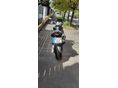 HONDA CB 600 F (HORNET) 2004/6 - 2