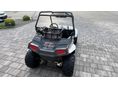 POLARIS RZR 170 2018/3 - 5