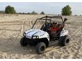 POLARIS RZR 170 2018/3 - 12