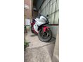 YAMAHA TZR 50 