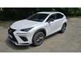 LEXUS NX 300h F Sport CVT