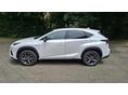 LEXUS NX 2021/1 - 2