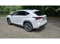 LEXUS NX 2021/1 - 3