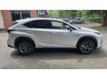 LEXUS NX 2021/1 - 6