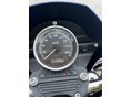 HARLEY-DAVIDSON SPORTSTER 883 LOW 2007/9 - 6