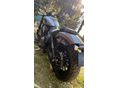 BENDA CHINCILLA 500 2025 - 3