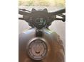 BENDA CHINCILLA 500 2025 - 4