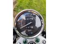 SUZUKI GZ 250 (MARAUDER) 2008/5 - 5
