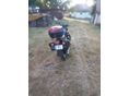 MZ ETZ 250 1985 - 6