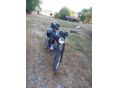 MZ ETZ 250 1985 - 8