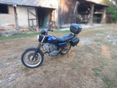 MZ ETZ 250 1985 - 9