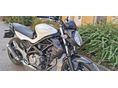 SUZUKI SFV 
