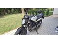 SUZUKI SFV 2012/3 - 9