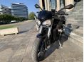 TRIUMPH STREET TRIPLE 2020/1 - 6