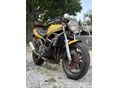 SUZUKI GSF 400 (BANDIT) 1994 - 3