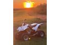 KYMCO KXR 250 sport
