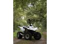 KYMCO KXR 250 2006 - 2