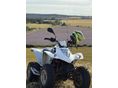 KYMCO KXR 250 2006 - 3