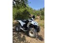 KYMCO KXR 250 2006 - 4