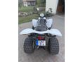 KYMCO KXR 250 2006 - 5