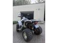 KYMCO KXR 250 2006 - 6