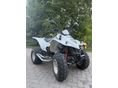 KYMCO KXR 250 2006 - 8