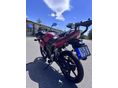HONDA CBR 125 R 2008/9 - 8
