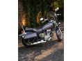 SUZUKI LS 650 SAVAGE 