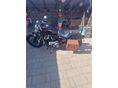 HARLEY-DAVIDSON SPORTSTER 883 IRON 2009/12 - 2