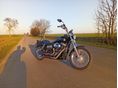 HARLEY-DAVIDSON DYNA STREET BOB 