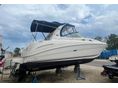 SEA RAY Secunder 300