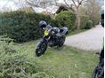 SUZUKI SV 650 X 