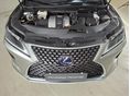 LEXUS RX 2022/6 - 10