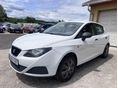 SEAT IBIZA 2010/7 - 7