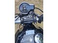 TRIUMPH SPEED 400 2025/11 - 5