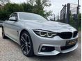 BMW 420 2019/1 - 3