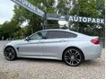 BMW 420 2019/1 - 8