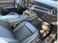 ALFA ROMEO STELVIO 2019/3 - 12