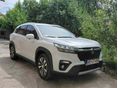 SUZUKI SX4 S-CROSS 2023/12 - 4