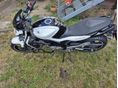 SUZUKI SFV 2013/1 - 2