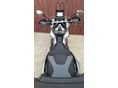 HONDA ADV 350 2022/4 - 5