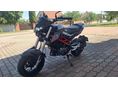BENELLI TNT 125 2024/2 - 5